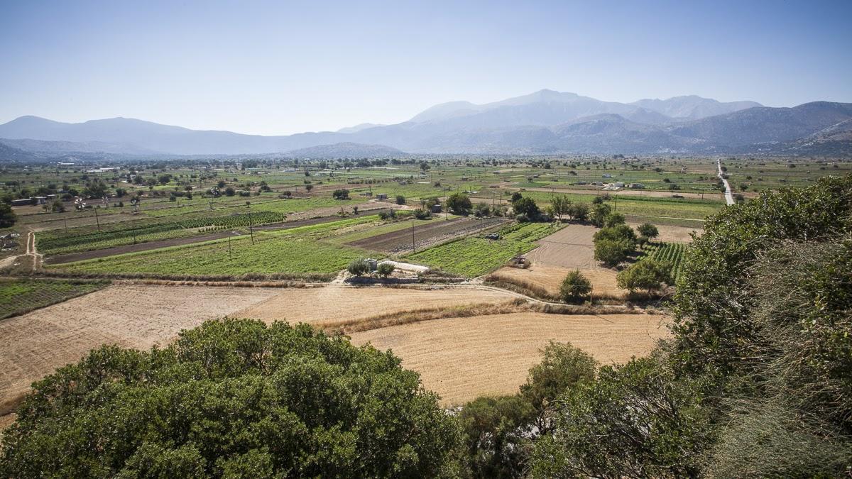 Milatos Village Cretan Agrotourism Hotel Eksteriør billede